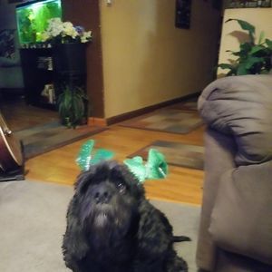 Meet your Posher, Sharon